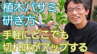 【植木鋏の研ぎ方】携帯できる砥石で、どこでも手軽に切れ味向上✂️✨