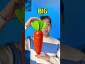 🥕 Let’s Learn SIZES While Playing With CARROTS #shorts #learning