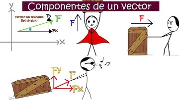 Vectores | Aprende TODO sobre vectores [rápido y divertido]