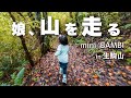 子供のトレラン大会に初めて参加してみましたin生駒山【mini BAMBI】