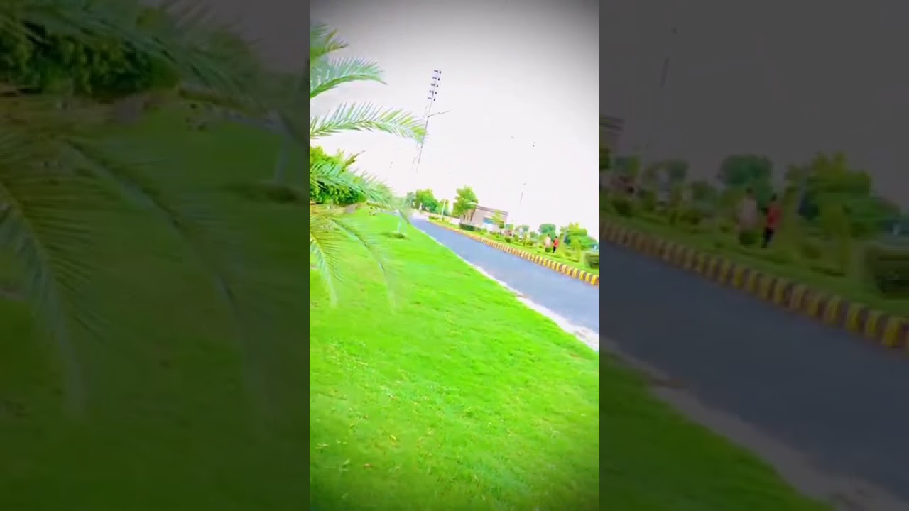 UAF sub campus burewala