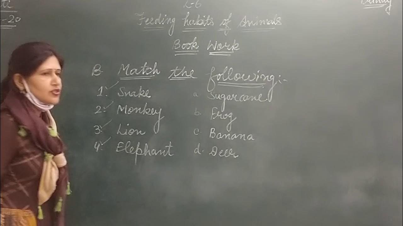 class-3rd-subject-science-topic-feeding-habits-of-animal-youtube
