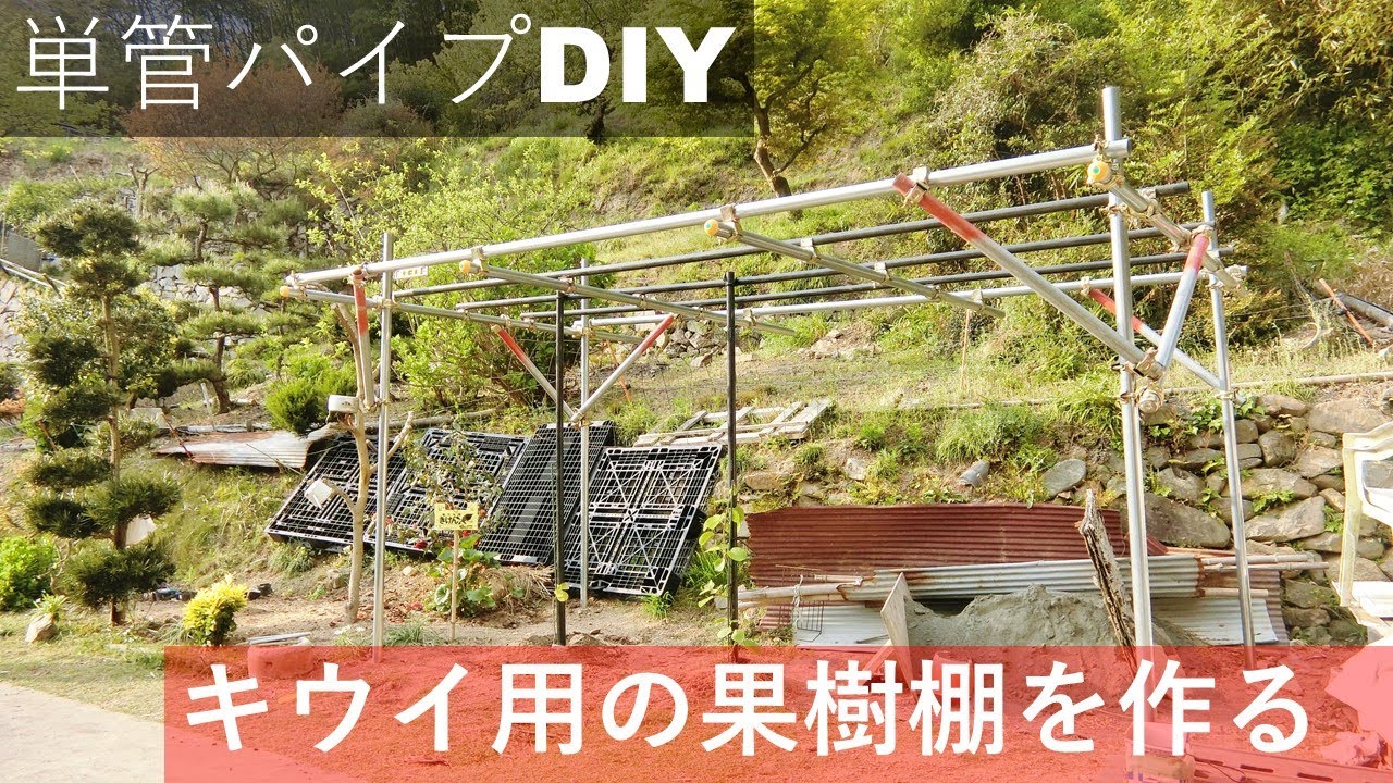 素人diy 単管パイプでキウイ用の果樹棚を作ってみる Youtube