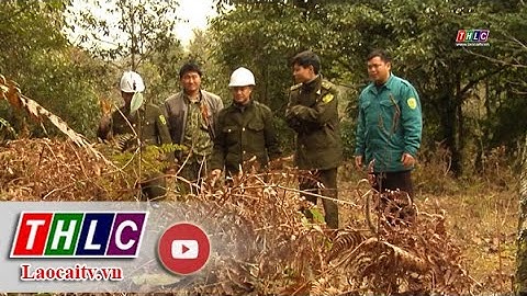 Tăng cường bảo vệ rừng, phòng cháy, chữa cháy rừng mùa khô 2022 - 2023| THLC