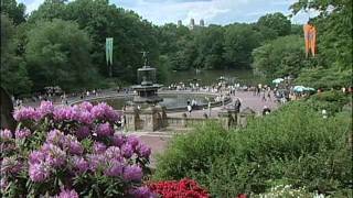 A Chinese Newlywed Couple Had Their Love Walk in Central Park NYC on Wedding Day