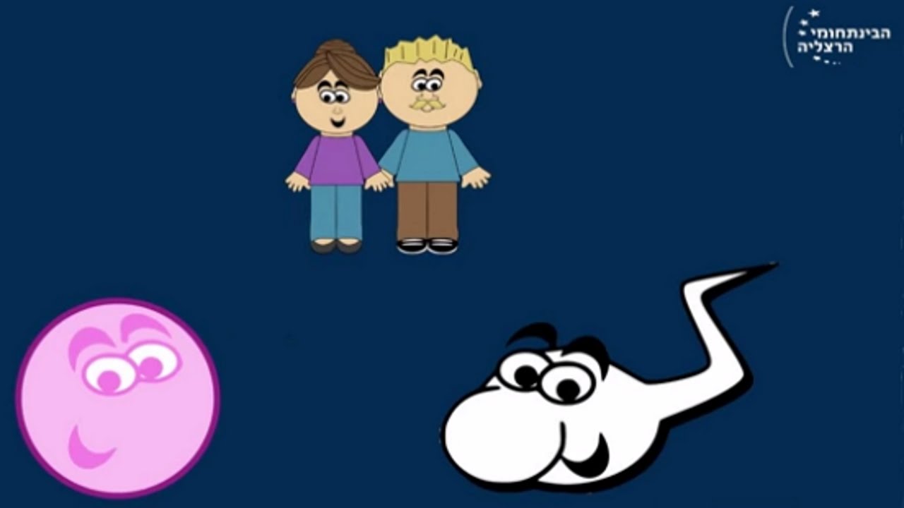 התפתחות המוח חלק א' - ההצגה המופלאה בעולם: המוח העוברי