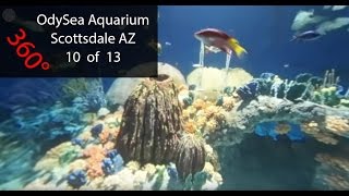 OdySea Aquarium 360 VR Scottsdale AZ #10