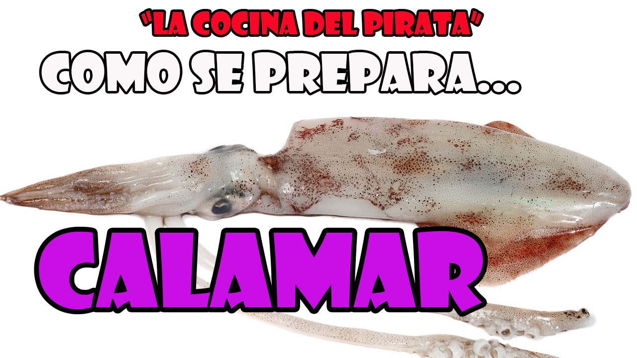 Cómo limpiar los calamares, cocinarlos y almacenarlos 2023