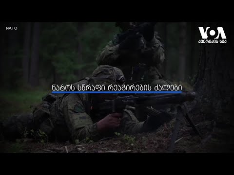 რას ნიშნავს ნატოს სწრაფი რეაგირების ძალები?