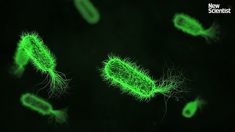 Scientists are creating a life form unlike any other