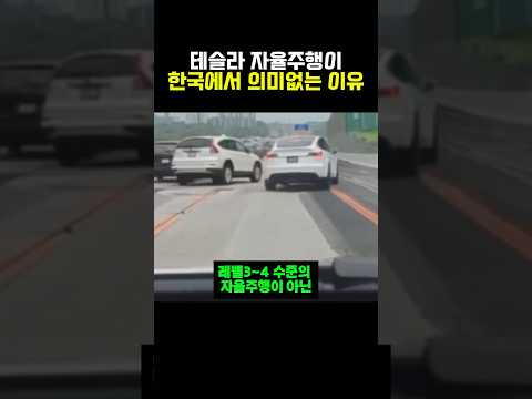 테슬라 자율주행이 한국에서 의미 없는 이유