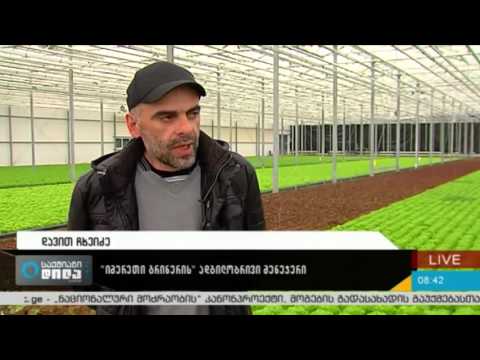 ქართულ ჰოლანდიური კომპანია