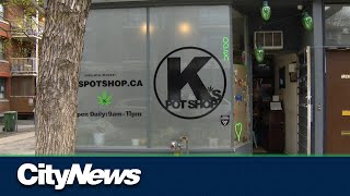 Covered pot shop windows a growing safety concern