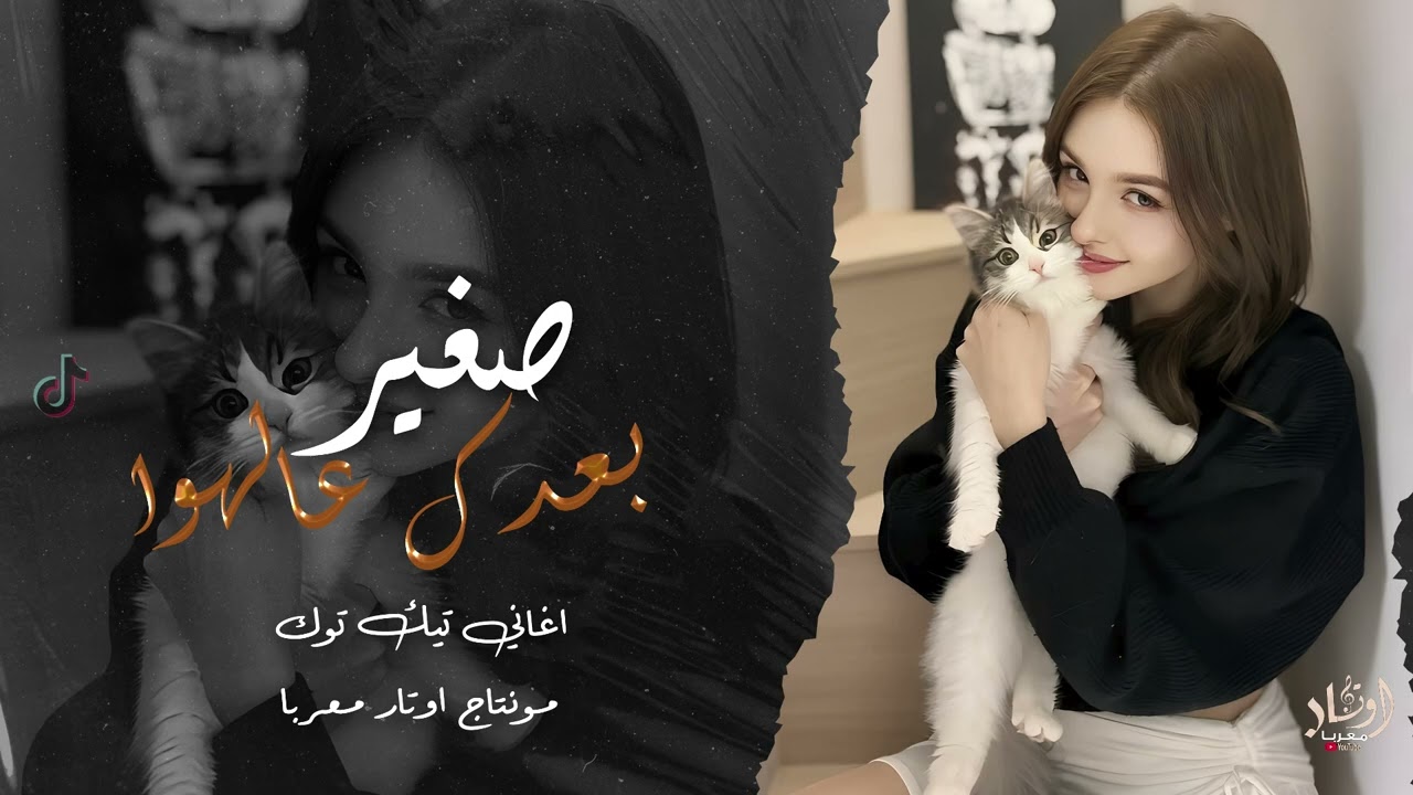 صغير بعدك عالهوا - اغاني تيك توك | 2025 مطلوبة اكثر شي