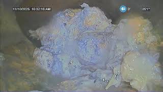 Download Lagu Sewer line 2007 MP3