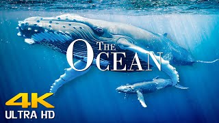 The Ocean 4K Ultra HD  Scenic Ocean Film With Calming Music || Scenic Film