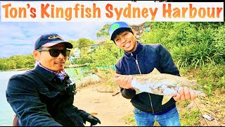 How to catch Kingfish with Bait | Ton's Sydney Harbour Kingfish