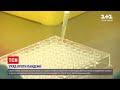 Боротьба з пандемією: Уряд закупить ще 6 мільйонів швидких тестів на визначення коронавірусу