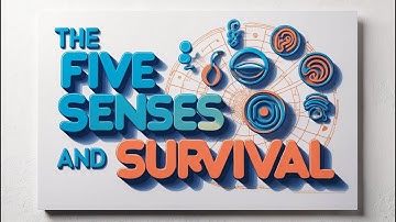 The Five Senses and Survival: How Animals Use Their Senses to Stay Safe