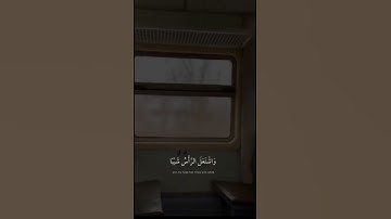 "إذ نادى ربه نداء خفيا"تلاوه هادئه للقارئ شريف مصطفى 💙