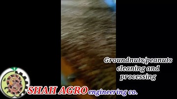 Groundnuts / peanuts cleaning and grading machine 7- Fan Gravity separator, SHAH AGRO engineering co