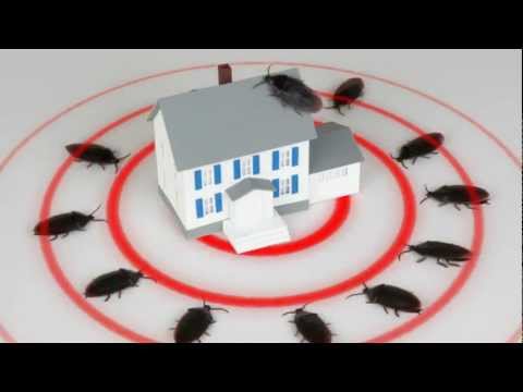 Fort Worth Pest Control & Keller Pest Control