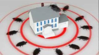 Fort Worth Pest Control & Keller Pest Control