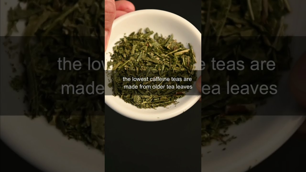 Is There Such Thing As Decaf Tea shorts YouTube Is There Such Thing As Decaf Tea shorts YouTube