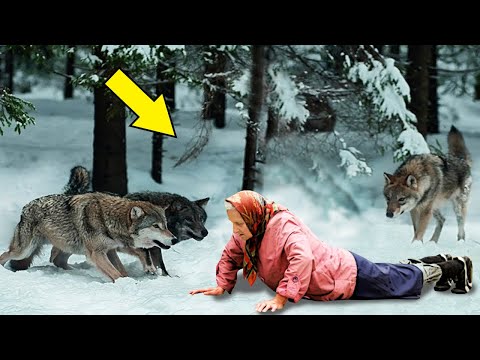 Видео: Как не замерзнуть (с иллюстрациями)