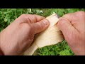 Harvesting and processing linden bark