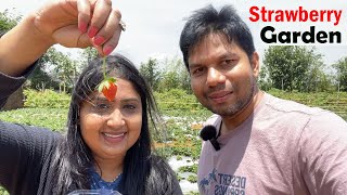 Strawberry Garden | Nuwara Eliya | Sri Lanka Travel Tamil Vlogs | With Rj Chandru & Menaka