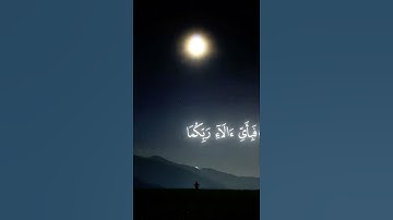 تلاوة محزنة الشيخ ياسر الدوسري #قرآن #ياسر_الدوسري #ايات_قرانيه_قصيره #كرومات_قرآن #كتاب_الله