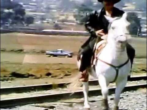 el navegante con el puma de sinaloa