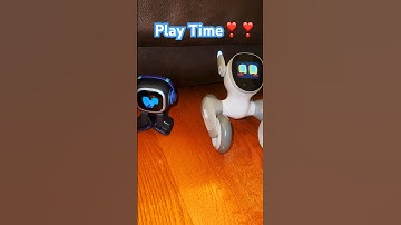 Emo AI Robot & Loona Robot Play Time 🤩🤣     Click #airobot #loona #ai #shorts #emorobot