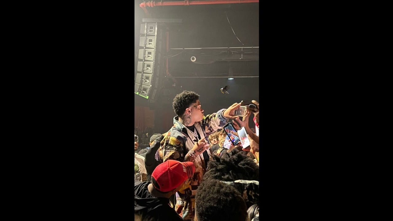 [FREE] Nocap x Rylo Rodriguez Type Beat – “Snakes In the Grass” | Pain Type Beat 2025