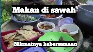 Video Sunda makan bersama di sawah 😎😎😎❤️❤️❤️