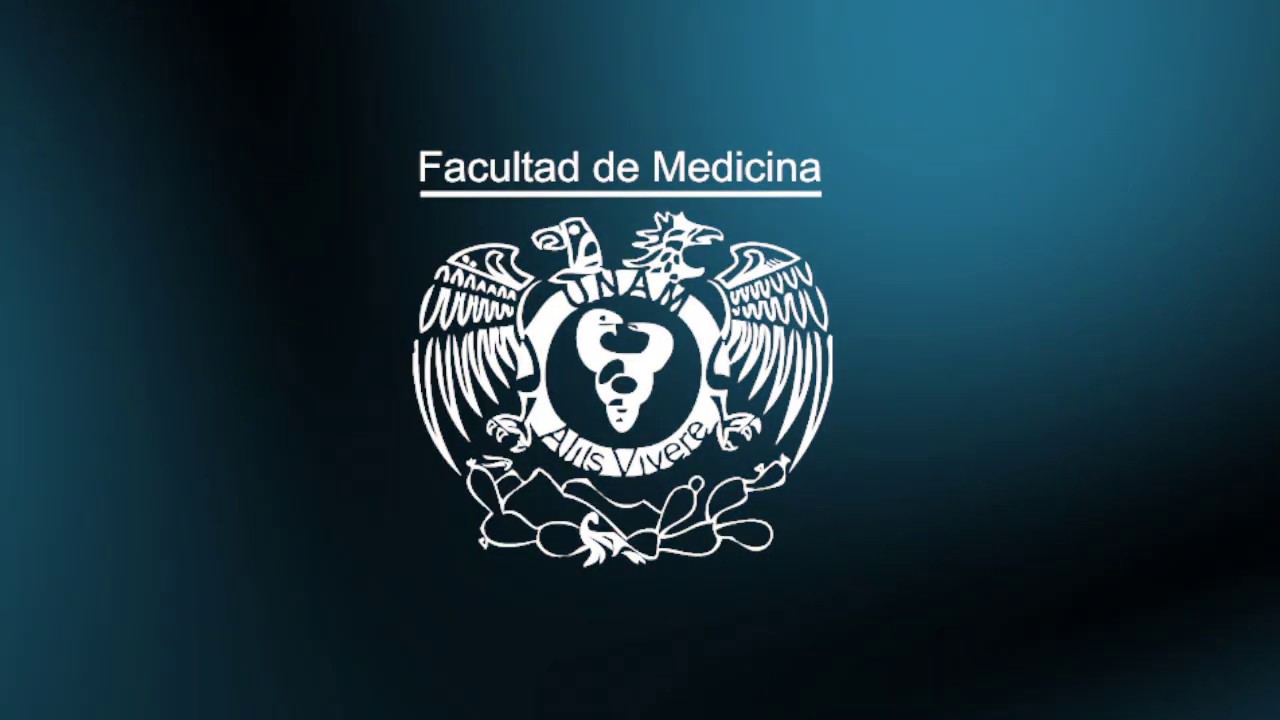 ¿Cómo acceder a Google Classroom por primera vez?