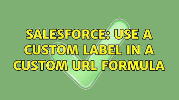 Salesforce: Use a custom label in a custom URL formula