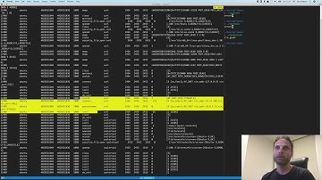 Tracee - Open Source system tracer