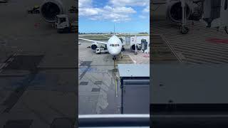 🛫 “Behind the scenes: loading a plane at lightning speed!”#sydney#airportshorts#airplane ✈️