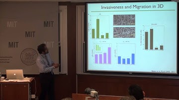 Cell Migration in 2D and 3D
