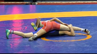 The Intimacy of Grappling or Wrestling