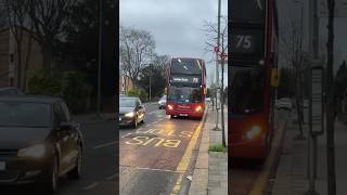 Newly Transferred 19756 (LX11 BDF) departing Avenue Road on  Route 75 towards Lewisham #bus #london