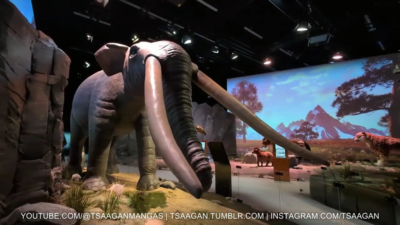 Gomphothere | Jääkauden jättiläiset | Heureka | 2025