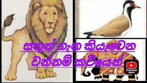 සතුන් ගැන කියැවෙන වන්නම් කවියෙන් මතක තියාගමු.