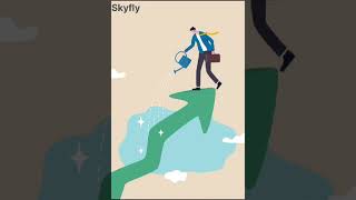 SkyFly: Elevate Your Social Media Game with Expert Management Services