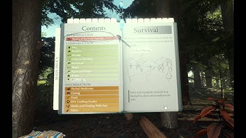 The Forest   Starters guide