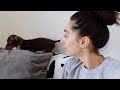 its dogs world and I just live in it | vlog