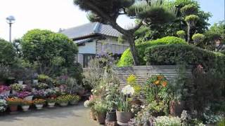 サンフラワー宮崎 会員の庭 Youtube