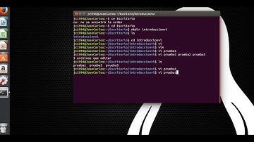 Introducción al editor VI